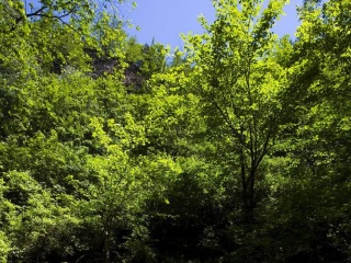 镜泊湖风景名胜区