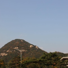 青瓦台