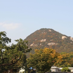 青瓦台