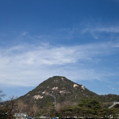 青瓦台