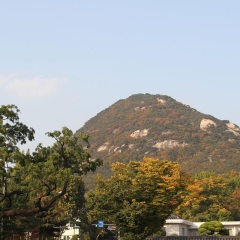 青瓦台