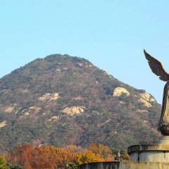 青瓦台