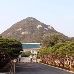 青瓦台