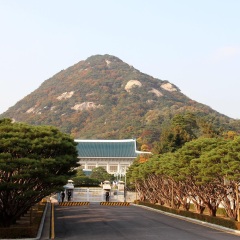 青瓦台