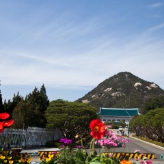 青瓦台