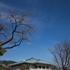 青瓦台