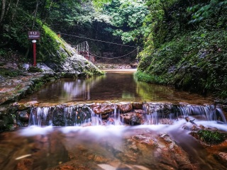 牯牛降自然保护区