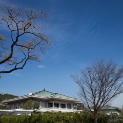 青瓦台