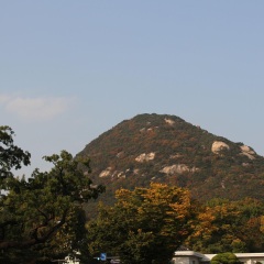 青瓦台