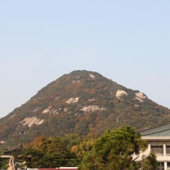 青瓦台