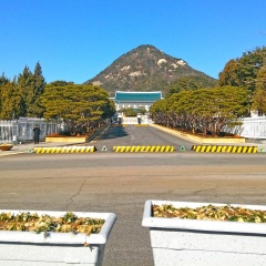 青瓦台
