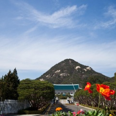 青瓦台