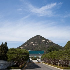 青瓦台
