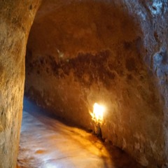 古芝地道的#旅图换旅费#