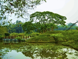 兴隆热带植物园