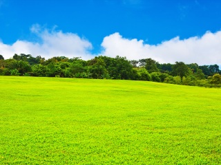 兴隆热带植物园
