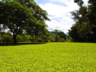 兴隆热带植物园