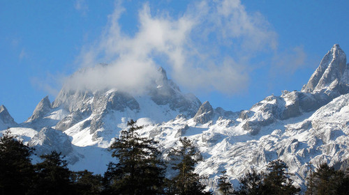 攘括玉龍雪山精華景點(雲杉坪——白水河,藍月谷——甘海子)——束河