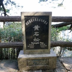 黄石寨的#旅图换旅费#