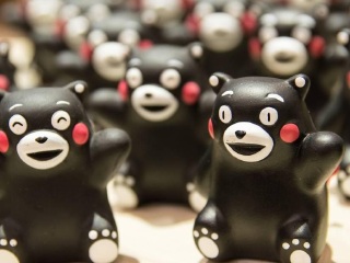 熊本部长办公室