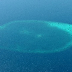 珊瑚岛