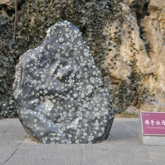 龙门石窟