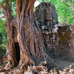 圣剑寺