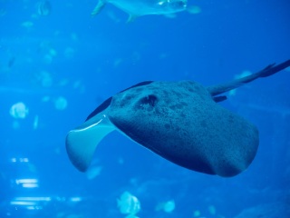 长隆旅游度假区