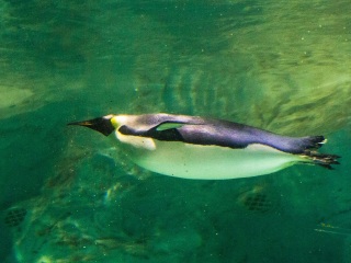 长隆旅游度假区