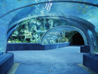 长隆旅游度假区