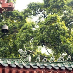 长隆旅游度假区