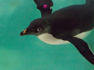 长隆旅游度假区