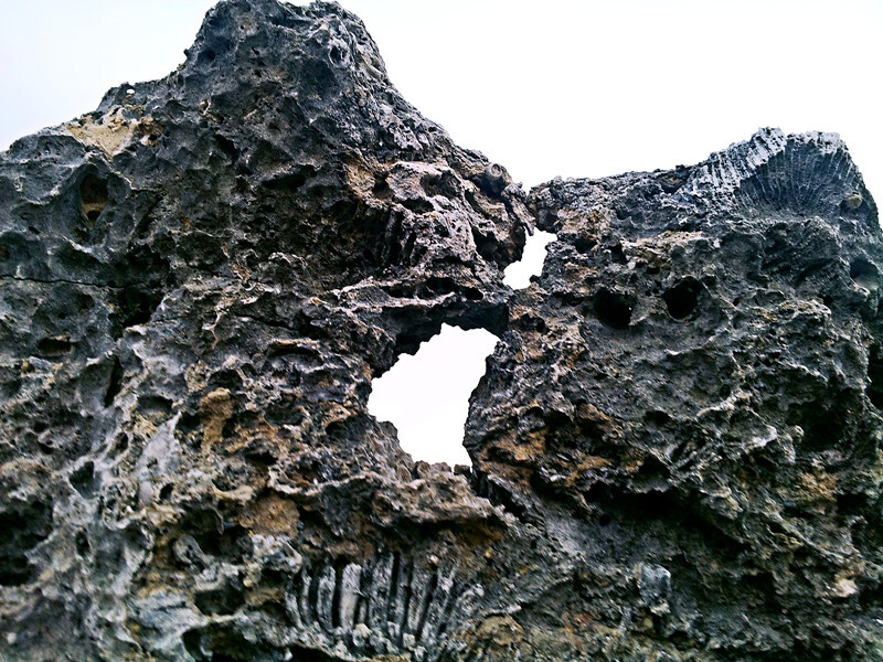 鹅銮鼻位于台湾最南端,园内珊瑚礁石灰岩地形遍布,巨礁林立,怪石嶙峋