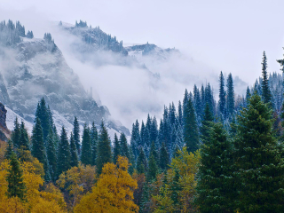 那拉提国家森林公园