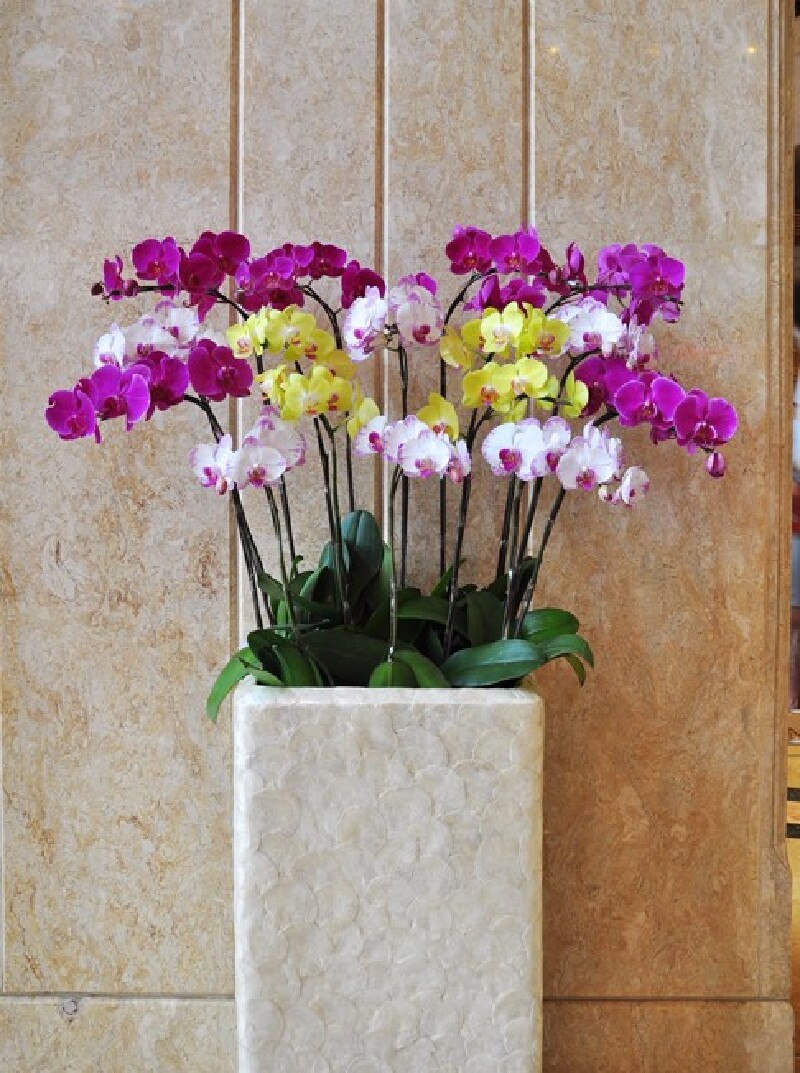 活力广东心悦之旅#登广州塔,感受居高临下的王者之风