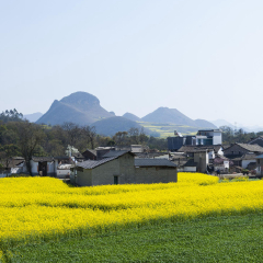 金鸡峰