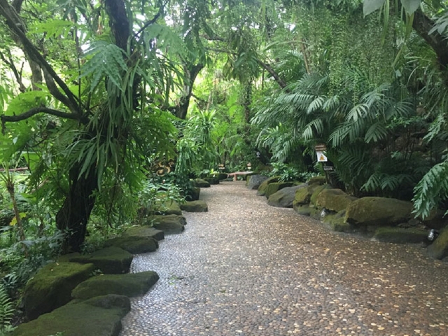 芭堤雅景点排名_漫游芭提雅十大景-途牛出游榜