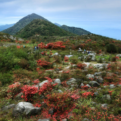 军山