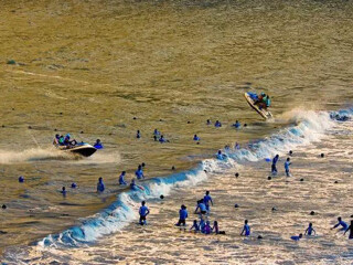 小白鹭海滨沙滩