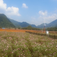 大九湖