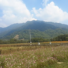 大九湖