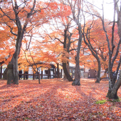 东福寺