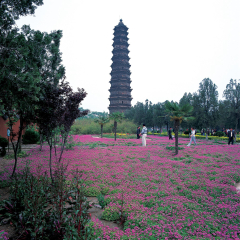 铁塔公园