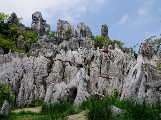 广安华蓥山旅游区