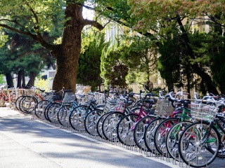 东北大学