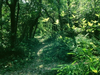 东高根森林公园