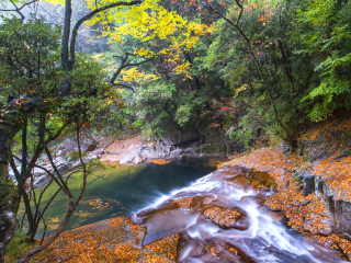 贵阳南江大峡谷