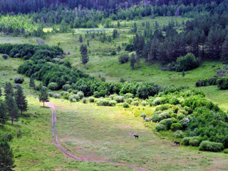 苏木山森林公园