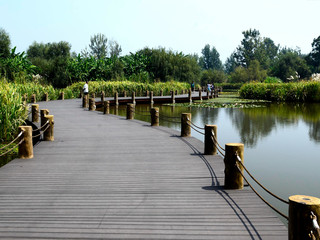 滨湖湿地公园