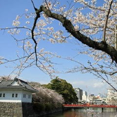 小田原